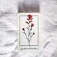 Red Paintbrush: Vinyl Waterproof Sticker